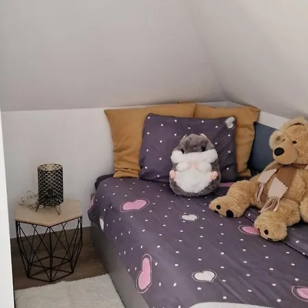 Apartmán Paderewski Vi Bielawa (Dzierzoniow)