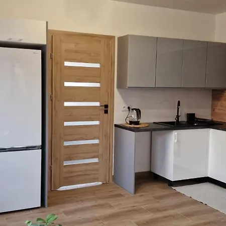 Paderewski Vi Apartmán Bielawa (Dzierzoniow)